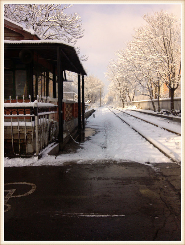 2013年第一场雪-春雪骄阳