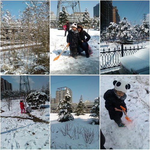北京三月的雪
