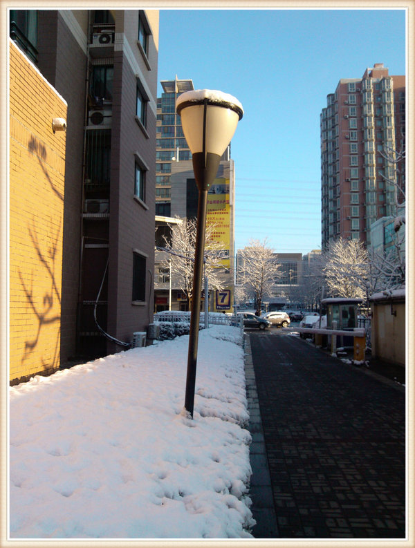 2013年第一场雪-春雪骄阳