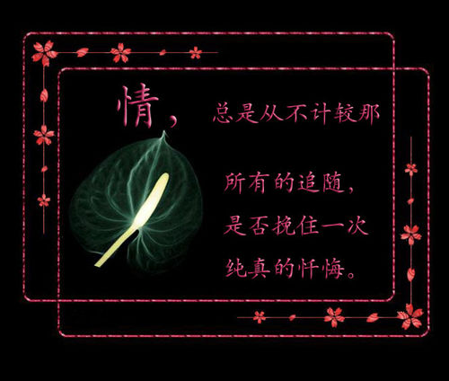 情到深处人寂寞