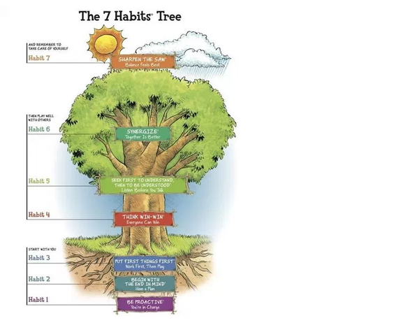 The 7 Habits Tree：美国孩子的7棵习惯树，中国家长应该知道