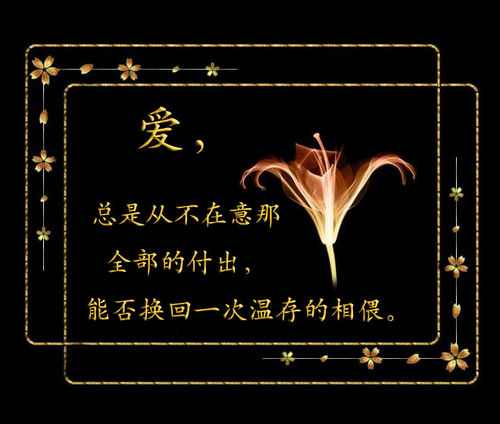 情到深处人寂寞
