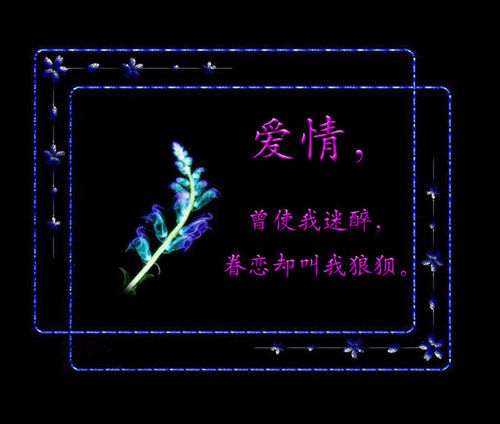 情到深处人寂寞