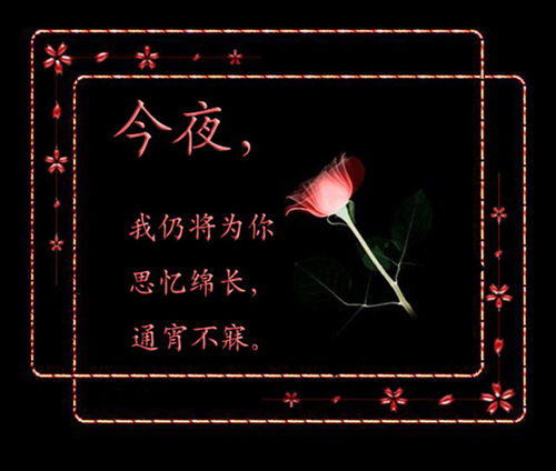 情到深处人寂寞