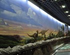 去自然博物馆，穿越到恐龙时代！